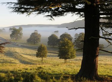 South Downs Hike