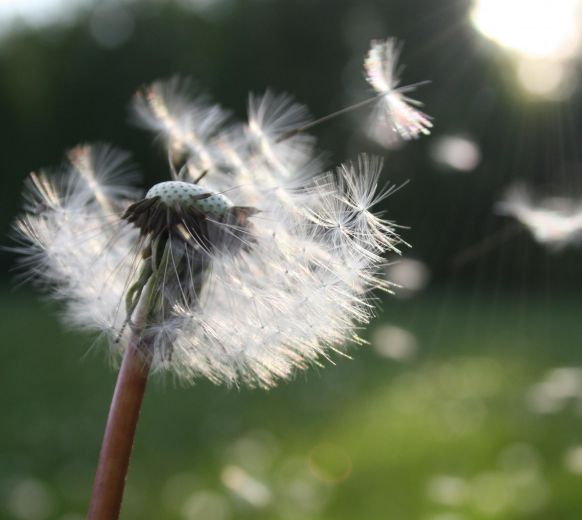 Certificates launched to officially recognise baby loss