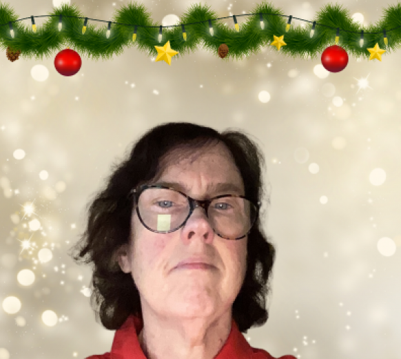 Spread a little 'shine' this festive season - Marion