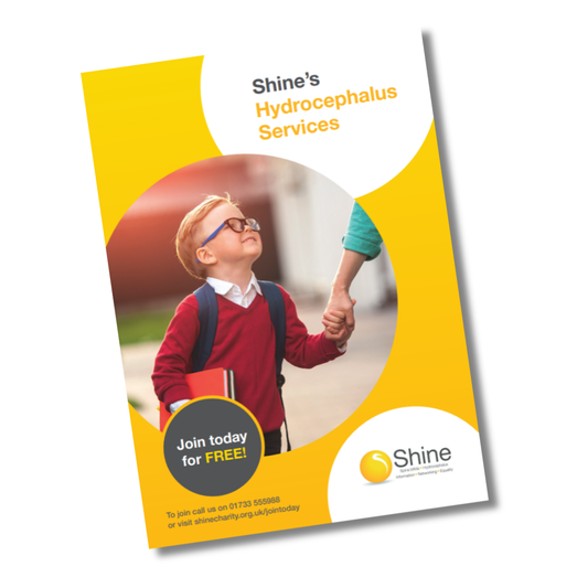 Shine's Hydrocephalus Services (print version)