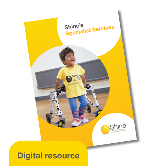 Shine's Specialist Services (digital version)