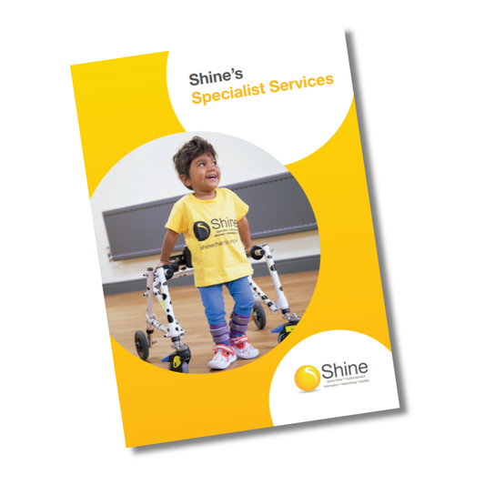 Shine's Specialist Services (print version)